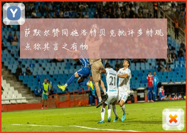 萨默尔赞同施洛特贝克批评多特观点称其言之有物