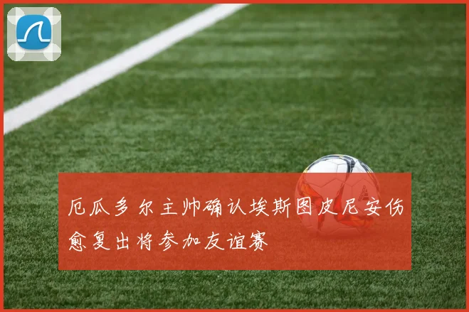 厄瓜多尔主帅确认埃斯图皮尼安伤愈复出将参加友谊赛